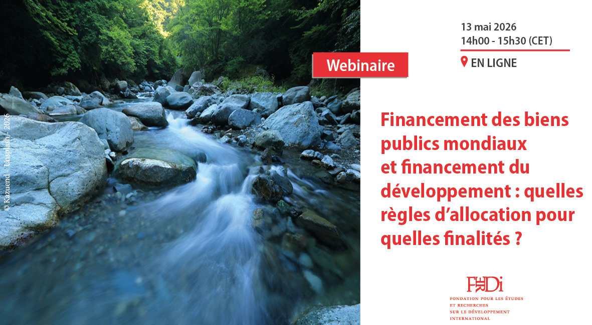 Financement des biens publics mondiaux et financement du développement : quelles règles d’allocation pour quelles finalités ?
