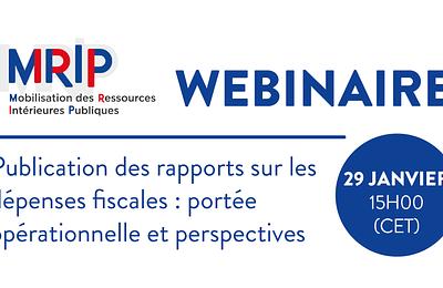 Webinaire MRIP 29 janvier 2026