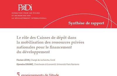 Couv - synthèse du rapport "Les Caisses de dépôt, au-delà du cas français"
