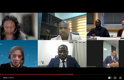 webinaire "Publication des rapports sur les dépenses fiscales : portée opérationnelle et perspectives" - capture video